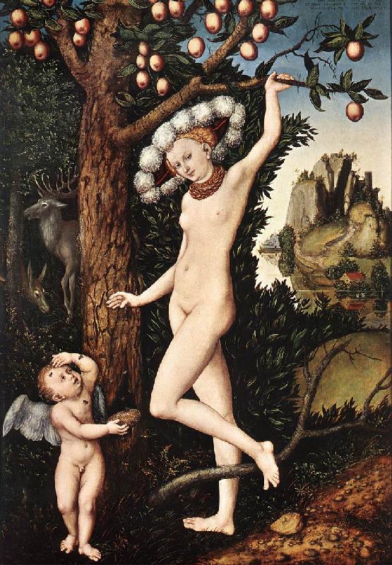 CRANACH, Lucas the Elder Cupid Complaining to Venus df Sweden oil painting art